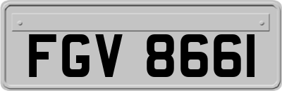FGV8661
