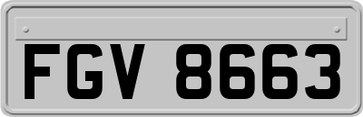 FGV8663