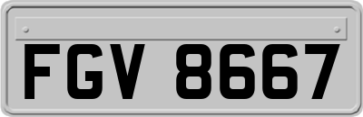 FGV8667