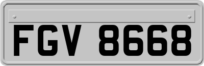 FGV8668