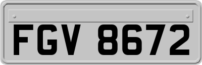 FGV8672