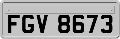 FGV8673