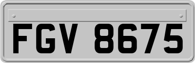 FGV8675