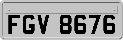 FGV8676
