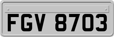 FGV8703