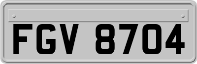 FGV8704