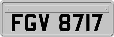 FGV8717