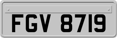 FGV8719