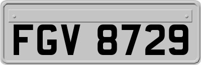 FGV8729