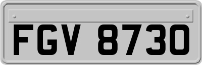 FGV8730