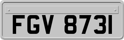 FGV8731