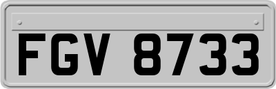 FGV8733