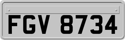 FGV8734