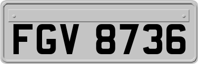 FGV8736