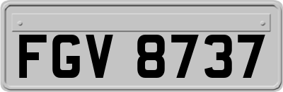 FGV8737