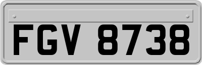 FGV8738
