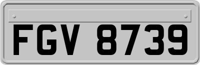 FGV8739