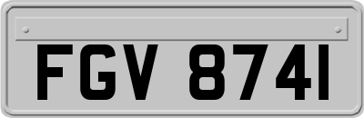 FGV8741