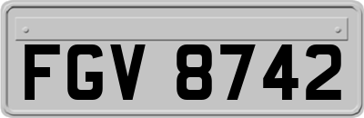 FGV8742