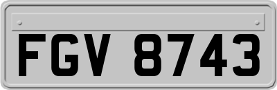 FGV8743