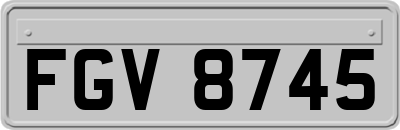 FGV8745