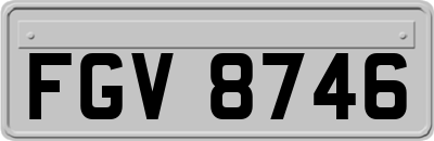 FGV8746
