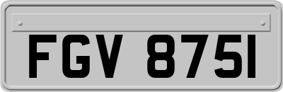 FGV8751