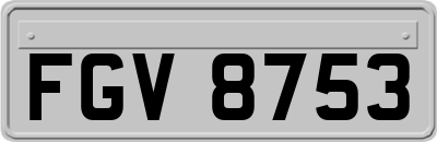 FGV8753