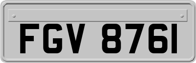 FGV8761