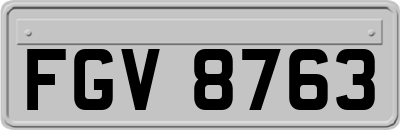 FGV8763