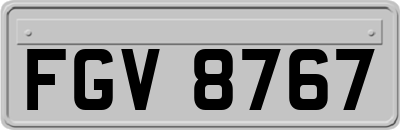 FGV8767