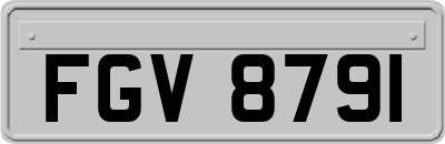 FGV8791