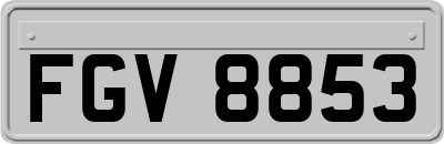 FGV8853