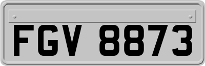 FGV8873