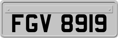 FGV8919