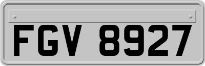 FGV8927