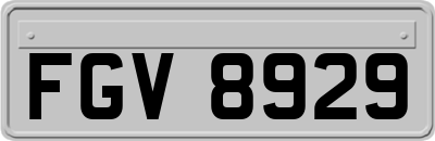FGV8929