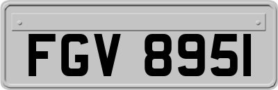 FGV8951
