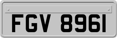 FGV8961