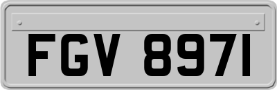 FGV8971