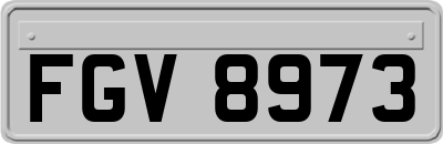 FGV8973
