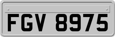 FGV8975