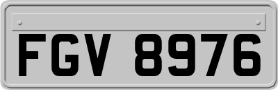 FGV8976