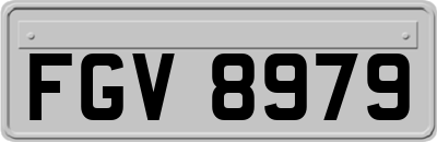 FGV8979