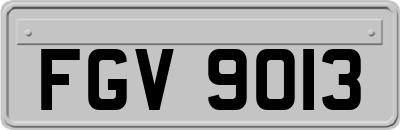 FGV9013
