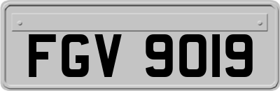 FGV9019