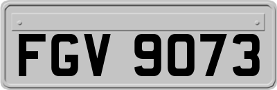 FGV9073