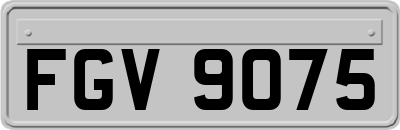 FGV9075