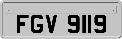 FGV9119