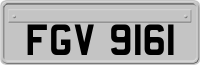 FGV9161
